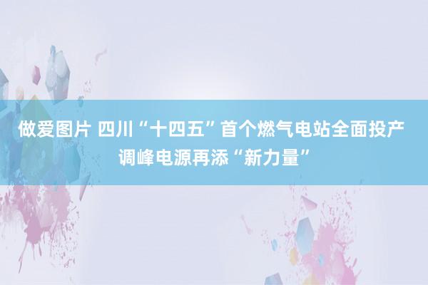 做爱图片 四川“十四五”首个燃气电站全面投产 调峰电源再添“新力量”