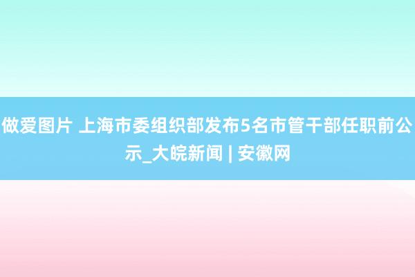做爱图片 上海市委组织部发布5名市管干部任职前公示_大皖新闻 | 安徽网