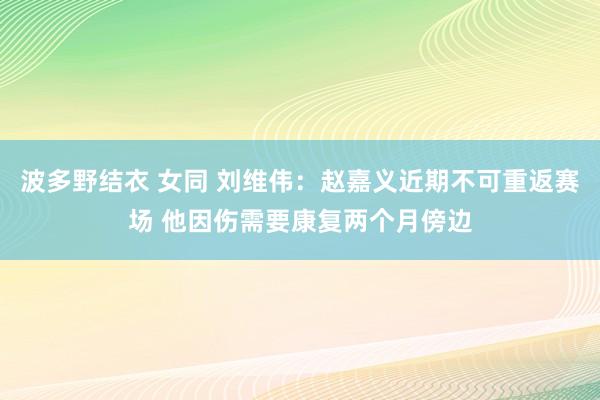 波多野结衣 女同 刘维伟：赵嘉义近期不可重返赛场 他因伤需要康复两个月傍边