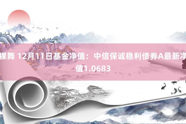 裸舞 12月11日基金净值：中信保诚稳利债券A最新净值1.0683