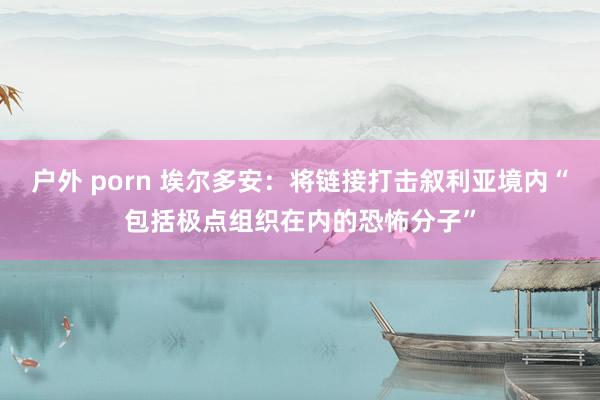 户外 porn 埃尔多安：将链接打击叙利亚境内“包括极点组织在内的恐怖分子”