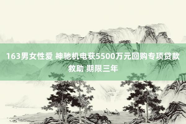 163男女性爱 神驰机电获5500万元回购专项贷款救助 期限三年