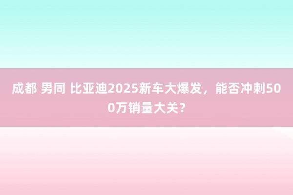 成都 男同 比亚迪2025新车大爆发，能否冲刺500万销量大关？