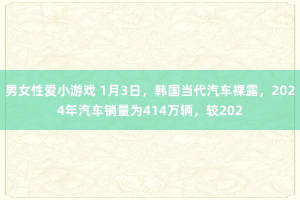 男女性爱小游戏 1月3日，韩国当代汽车裸露，2024年汽车销量为414万辆，较202