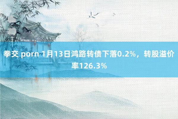 拳交 porn 1月13日鸿路转债下落0.2%，转股溢价率126.3%