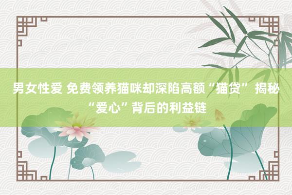 男女性爱 免费领养猫咪却深陷高额“猫贷” 揭秘“爱心”背后的利益链