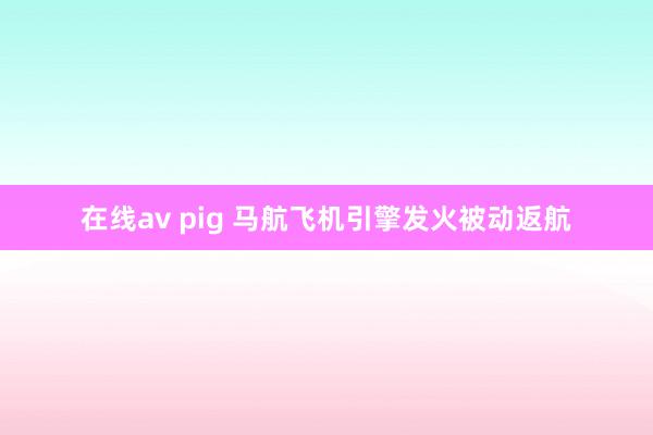 在线av pig 马航飞机引擎发火被动返航
