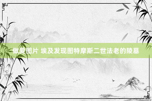 做爱图片 埃及发现图特摩斯二世法老的陵墓