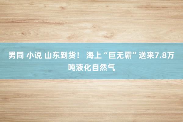 男同 小说 山东到货！ 海上“巨无霸”送来7.8万吨液化自然气