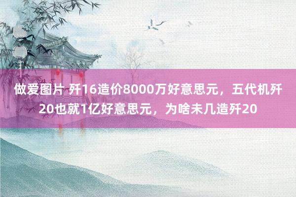 做爱图片 歼16造价8000万好意思元，五代机歼20也就1亿好意思元，为啥未几造歼20