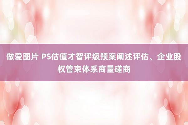 做爱图片 PS估值才智评级预案阐述评估、企业股权管束体系商量磋商