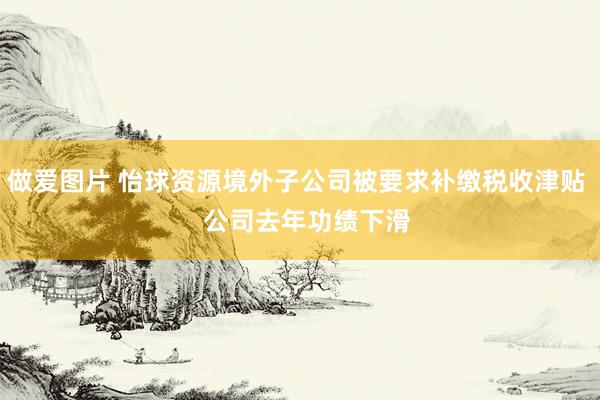 做爱图片 怡球资源境外子公司被要求补缴税收津贴   公司去年功绩下滑