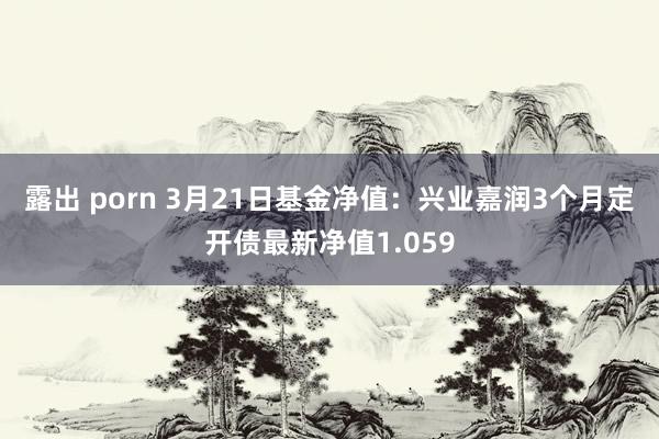 露出 porn 3月21日基金净值：兴业嘉润3个月定开债最新净值1.059