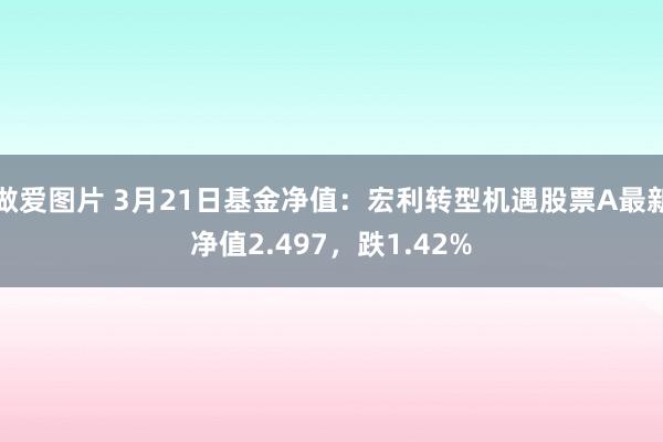 做爱图片 3月21日基金净值：宏利转型机遇股票A最新净值2.497，跌1.42%