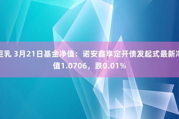 巨乳 3月21日基金净值：诺安鑫享定开债发起式最新净值1.0706，跌0.01%