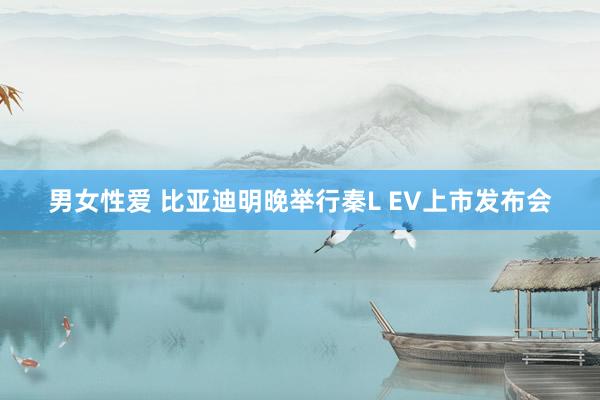 男女性爱 比亚迪明晚举行秦L EV上市发布会