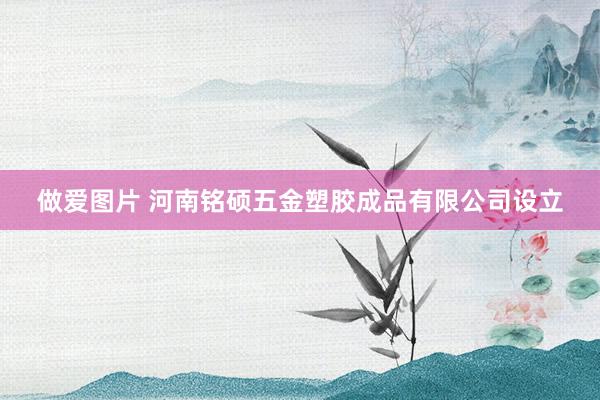 做爱图片 河南铭硕五金塑胶成品有限公司设立