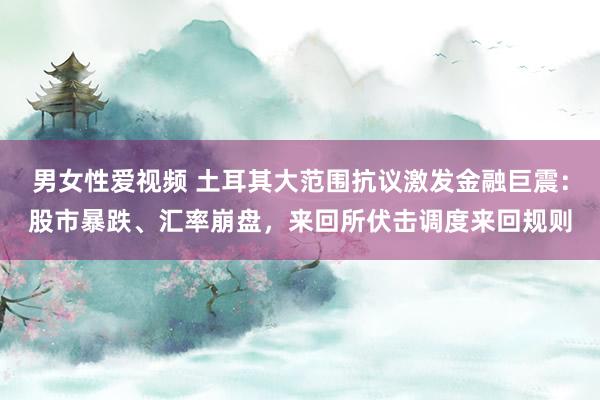 男女性爱视频 土耳其大范围抗议激发金融巨震：股市暴跌、汇率崩盘，来回所伏击调度来回规则