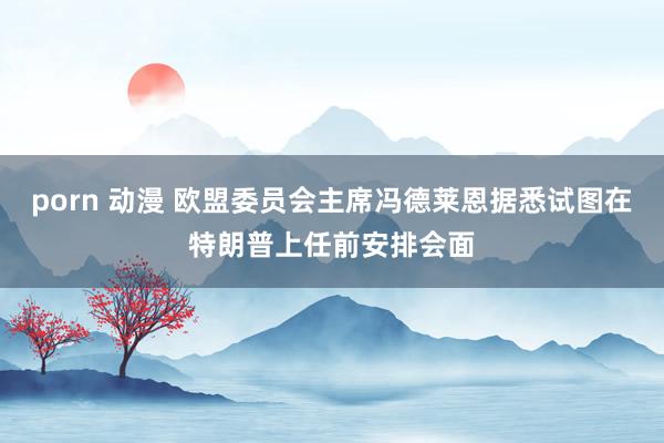 porn 动漫 欧盟委员会主席冯德莱恩据悉试图在特朗普上任前安排会面