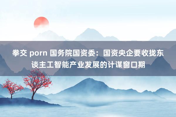 拳交 porn 国务院国资委：国资央企要收拢东谈主工智能产业发展的计谋窗口期