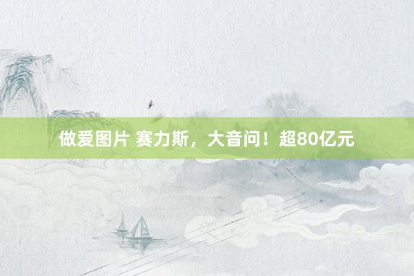 做爱图片 赛力斯，大音问！超80亿元