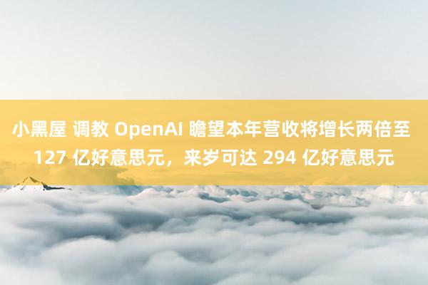 小黑屋 调教 OpenAI 瞻望本年营收将增长两倍至 127 亿好意思元，来岁可达 294 亿好意思元