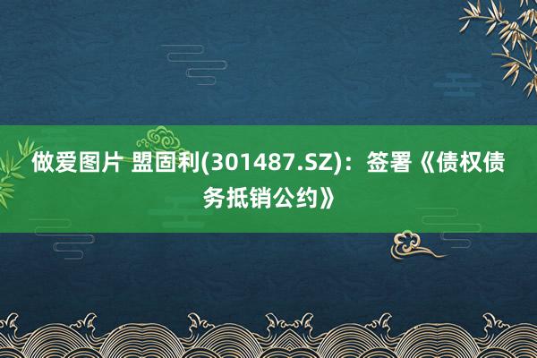 做爱图片 盟固利(301487.SZ)：签署《债权债务抵销公约》