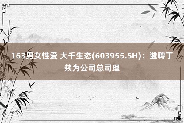 163男女性爱 大千生态(603955.SH)：遴聘丁燚为公司总司理