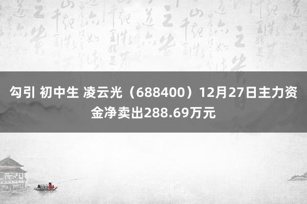 勾引 初中生 凌云光（688400）12月27日主力资金净卖出288.69万元