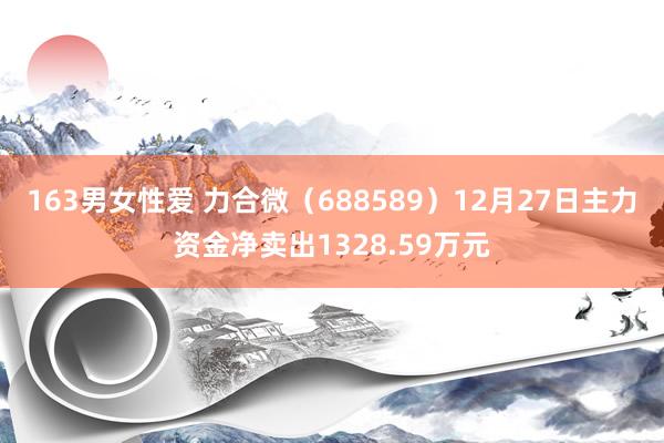 163男女性爱 力合微（688589）12月27日主力资金净卖出1328.59万元