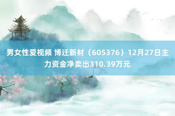 男女性爱视频 博迁新材（605376）12月27日主力资金净卖出310.39万元