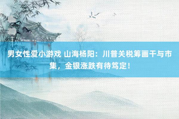 男女性爱小游戏 山海杨阳：川普关税筹画干与市集，金银涨跌有待笃定！