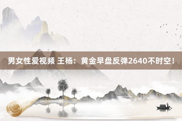 男女性爱视频 王杨：黄金早盘反弹2640不时空！