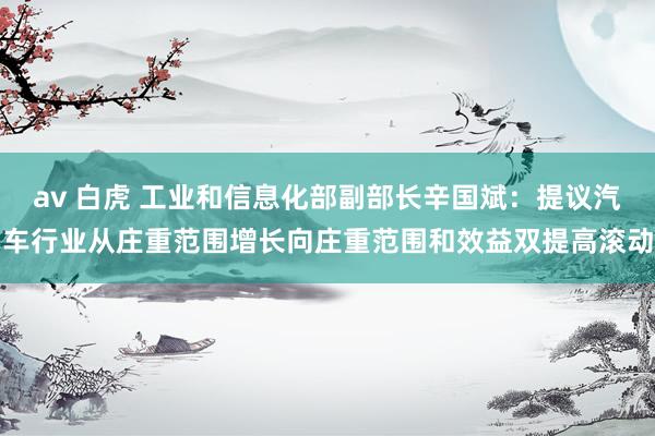 av 白虎 工业和信息化部副部长辛国斌：提议汽车行业从庄重范围增长向庄重范围和效益双提高滚动