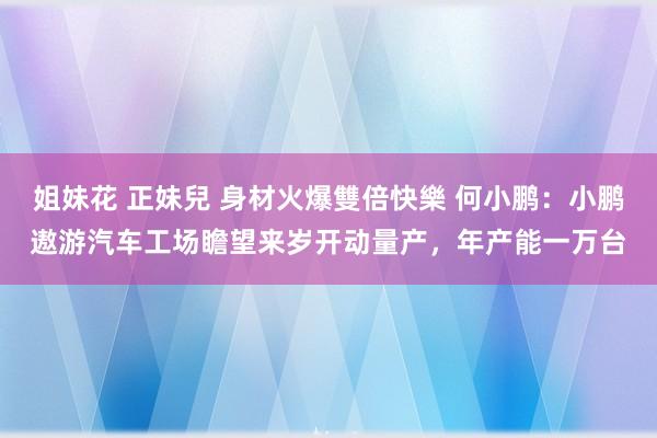 姐妹花 正妹兒 身材火爆雙倍快樂 何小鹏：小鹏遨游汽车工场瞻望来岁开动量产，年产能一万台