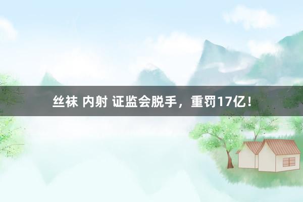 丝袜 内射 证监会脱手，重罚17亿！