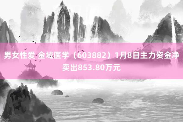 男女性爱 金域医学（603882）1月8日主力资金净卖出853.80万元