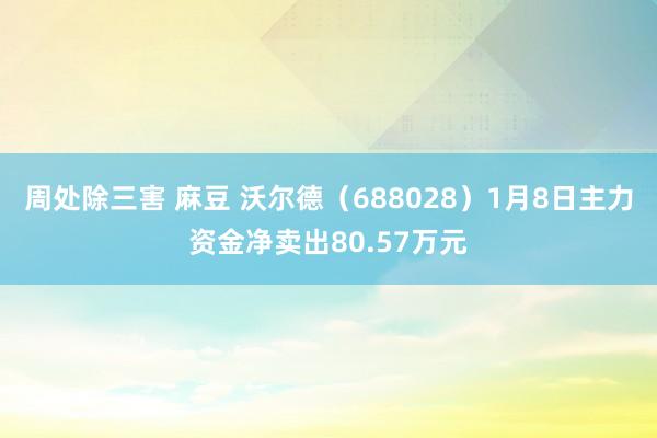 周处除三害 麻豆 沃尔德（688028）1月8日主力资金净卖出80.57万元