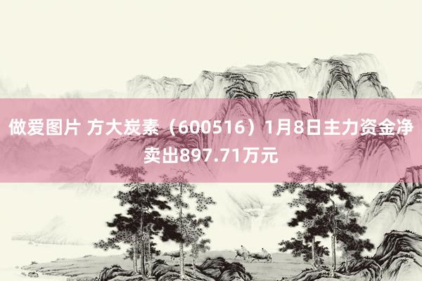 做爱图片 方大炭素（600516）1月8日主力资金净卖出897.71万元