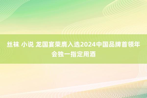 丝袜 小说 龙国宴荣膺入选2024中国品牌首领年会独一指定用酒