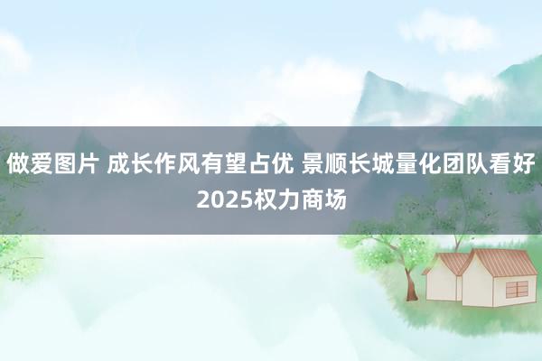 做爱图片 成长作风有望占优 景顺长城量化团队看好2025权力商场
