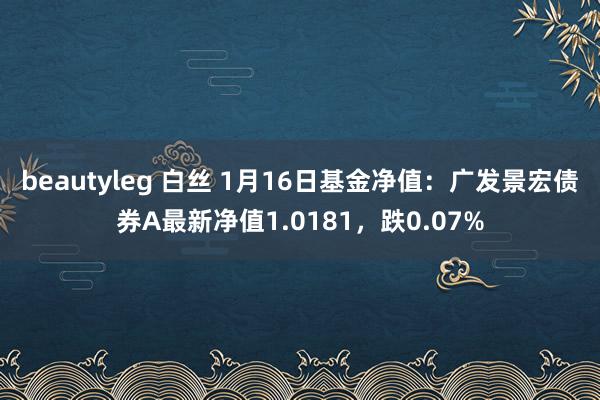 beautyleg 白丝 1月16日基金净值：广发景宏债券A最新净值1.0181，跌0.07%