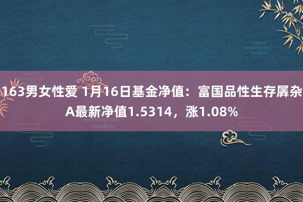 163男女性爱 1月16日基金净值：富国品性生存羼杂A最新净值1.5314，涨1.08%