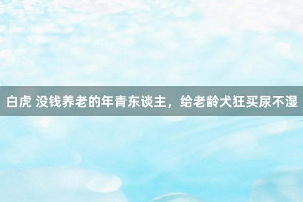 白虎 没钱养老的年青东谈主，给老龄犬狂买尿不湿