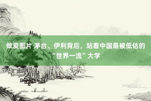 做爱图片 茅台、伊利背后，站着中国最被低估的“世界一流”大学
