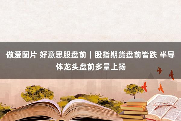 做爱图片 好意思股盘前｜股指期货盘前皆跌 半导体龙头盘前多量上扬