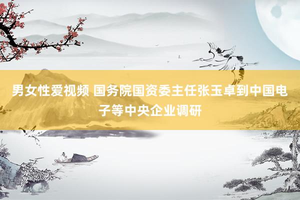 男女性爱视频 国务院国资委主任张玉卓到中国电子等中央企业调研