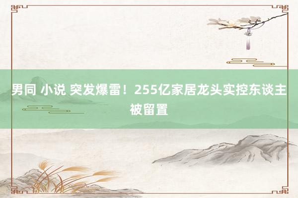 男同 小说 突发爆雷！255亿家居龙头实控东谈主被留置