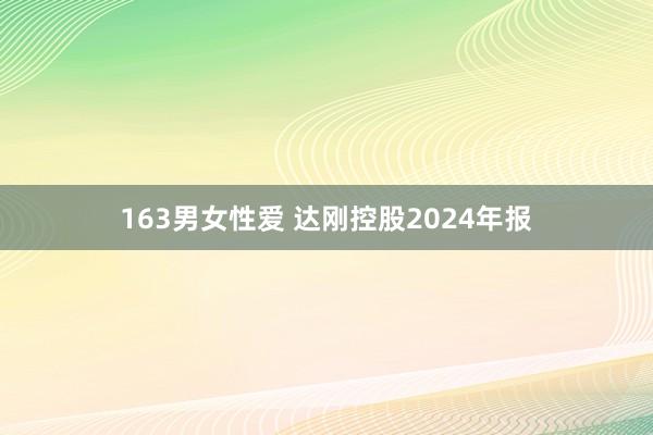 163男女性爱 达刚控股2024年报