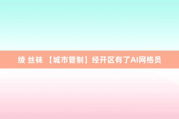 绫 丝袜 【城市管制】经开区有了AI网格员